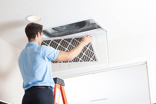 Best HVAC Maintenance Near Me  in Freeburg, IL